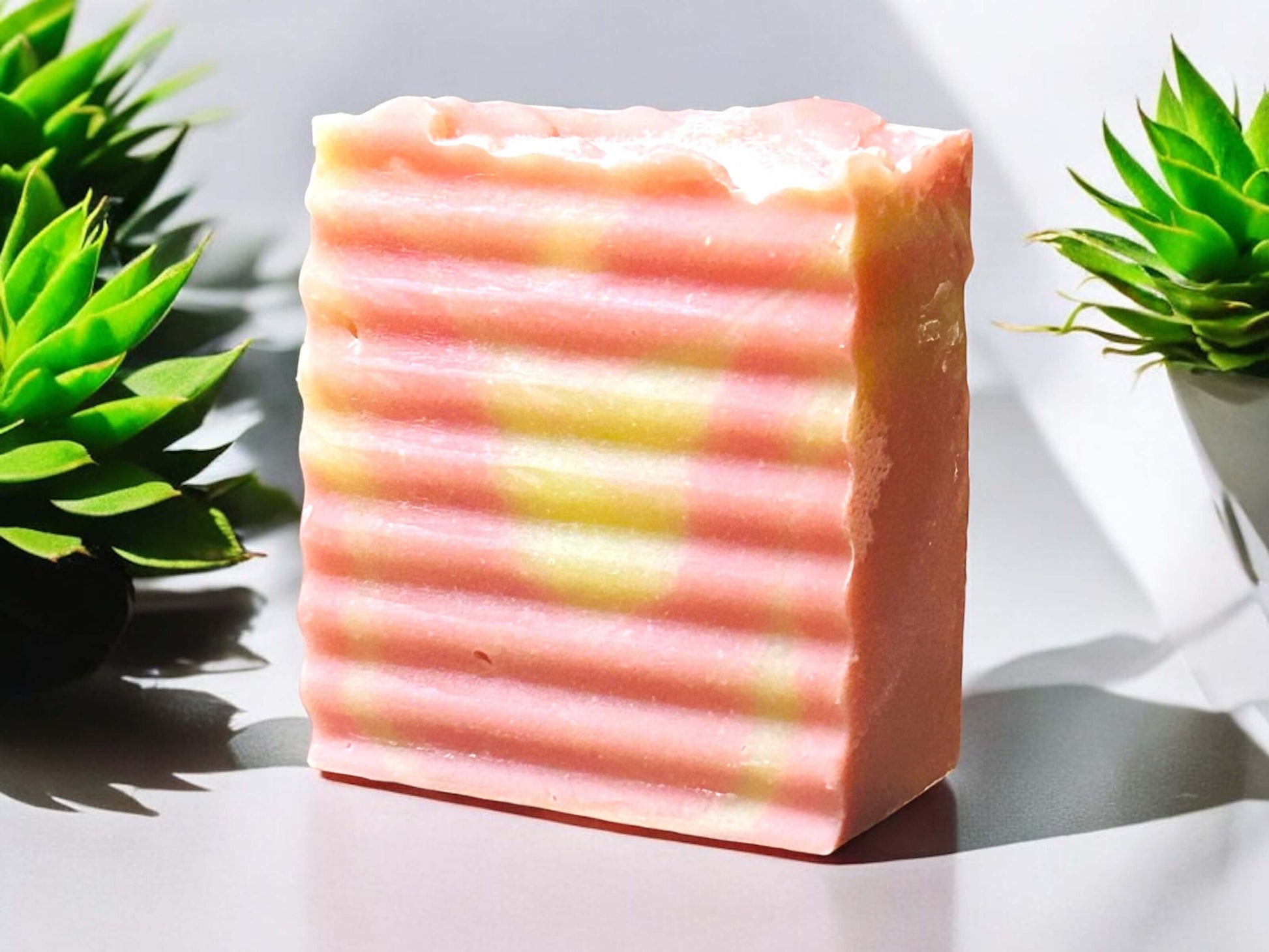 Pink Kaolin Clay Soap Bar with Natural Ingredients Surrounded by Green Succulents